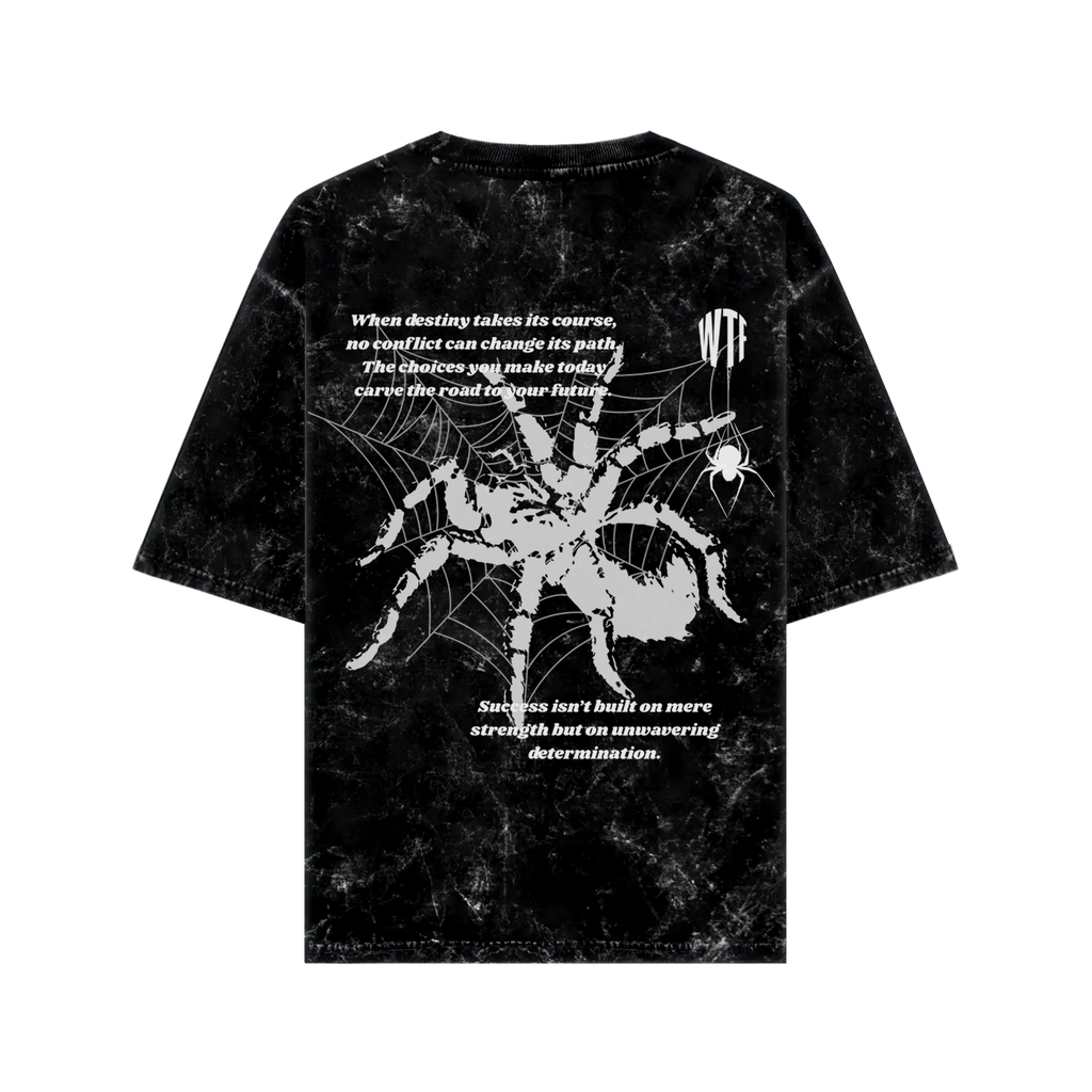WHAT THE FATE oversized Web of Fate graphic tee featuring a spider design and motivational text