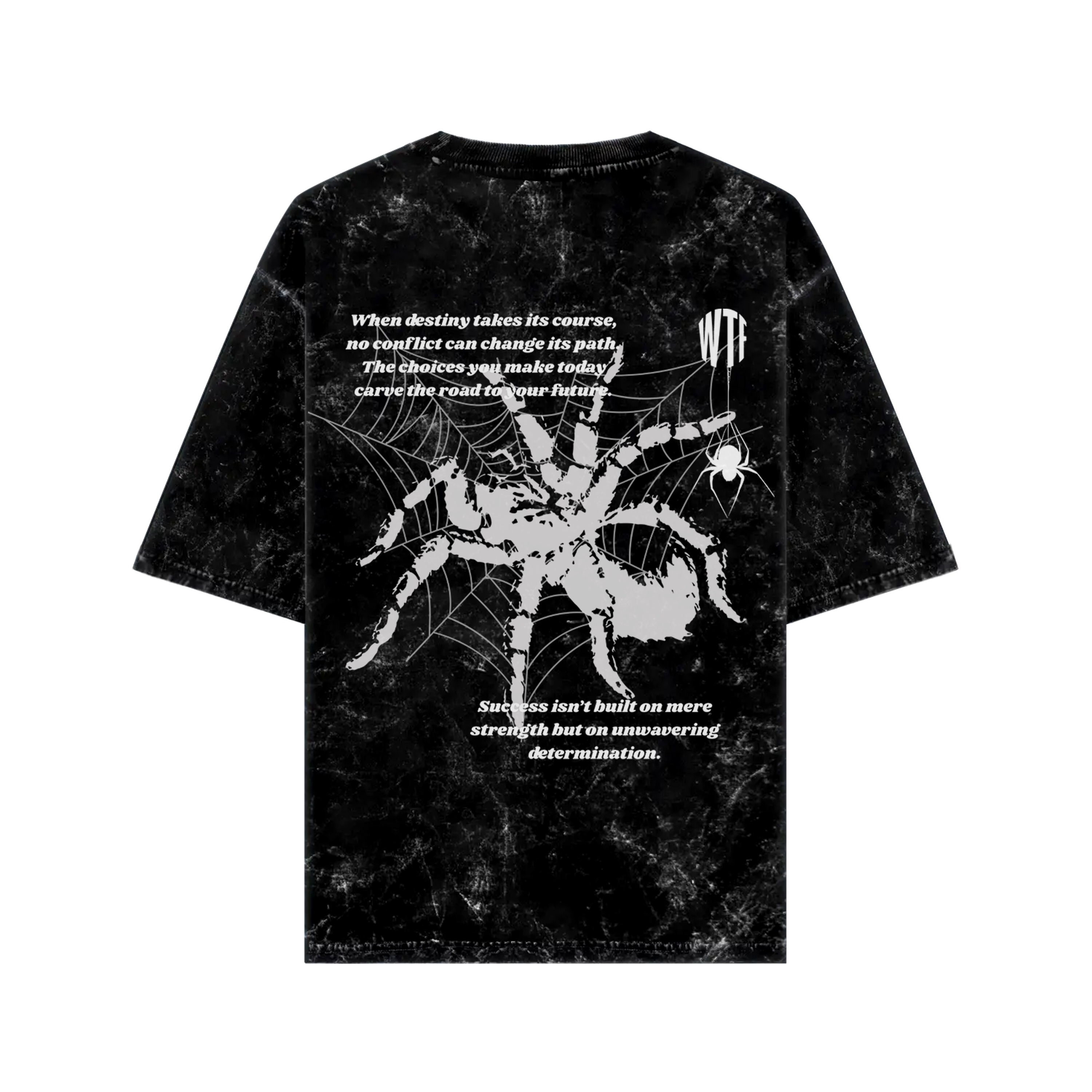 WHAT THE FATE oversized Web of Fate graphic tee featuring a spider design and motivational text
